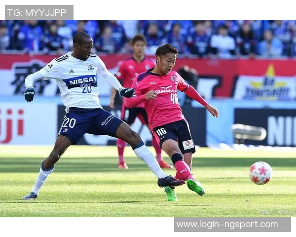 大板樱花与新泻天鹅的精彩对决谁能在赛场上笑到最后